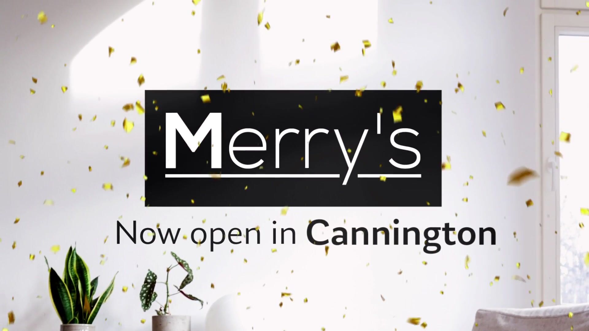 New Store Opening, commercial video production by Jungle Creative